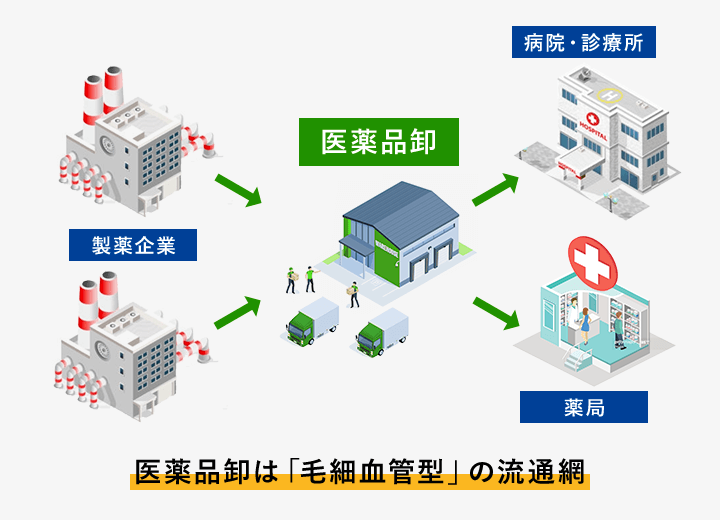 医薬品卸売事業